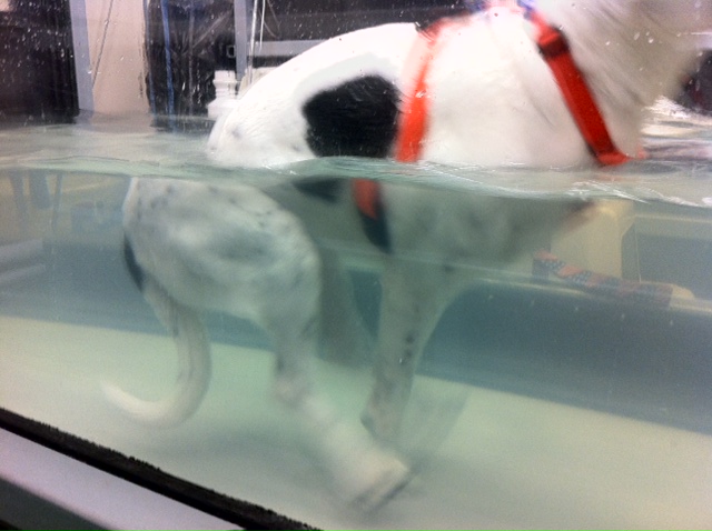 More hydrotherapy